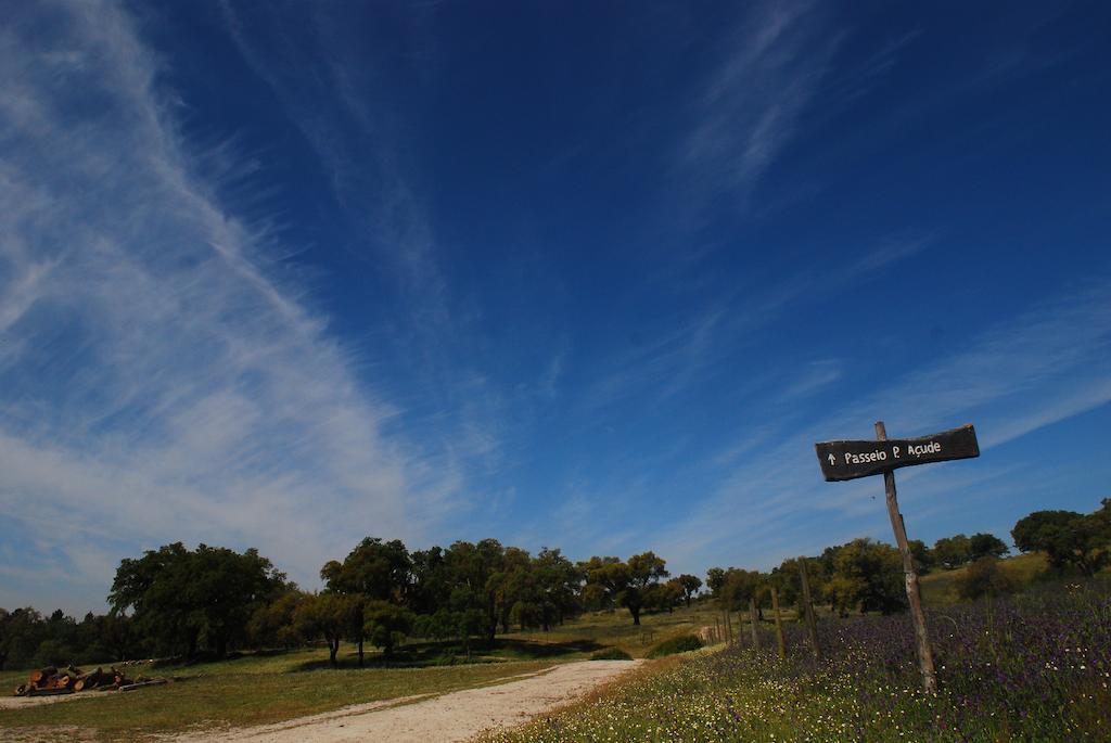 Monte Do Areeiro Villa Coruche Eksteriør bilde